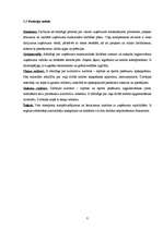 Referāts 'Uzņēmuma "XXX" mārketinga vides analīze', 8.