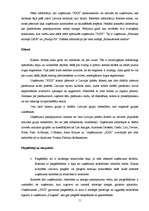 Referāts 'Uzņēmuma "XXX" mārketinga vides analīze', 11.