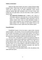 Referāts 'Uzņēmuma "XXX" mārketinga vides analīze', 15.