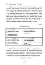 Referāts 'Uzņēmuma "XXX" mārketinga vides analīze', 18.