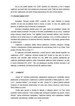 Referāts 'Uzņēmuma "XXX" mārketinga vides analīze', 19.