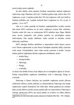 Diplomdarbs 'Mazo un vidējo uzņēmumu attīstības iespējas Latvijā', 55.