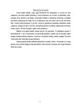 Referāts 'Saldēti pārtikas produkti', 7.