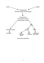 Diplomdarbs 'Preanalītiskā fāze un tās nozīme kvalitātes nodrošināšanā medicīnas laboratorijā', 15.