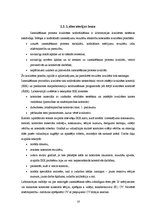 Diplomdarbs 'Preanalītiskā fāze un tās nozīme kvalitātes nodrošināšanā medicīnas laboratorijā', 16.