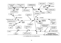 Diplomdarbs 'Preanalītiskā fāze un tās nozīme kvalitātes nodrošināšanā medicīnas laboratorijā', 39.