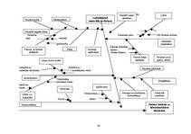 Diplomdarbs 'Preanalītiskā fāze un tās nozīme kvalitātes nodrošināšanā medicīnas laboratorijā', 40.