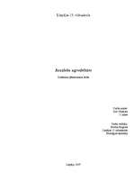 Referāts 'Jauniešu agresija', 1.