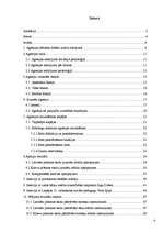 Referāts 'Jauniešu agresija', 4.