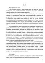 Referāts 'Jauniešu agresija', 6.