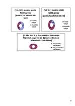 Referāts 'Jauniešu agresija', 28.