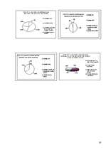 Referāts 'Jauniešu agresija', 29.
