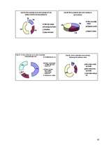 Referāts 'Jauniešu agresija', 39.