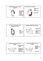 Referāts 'Jauniešu agresija', 42.