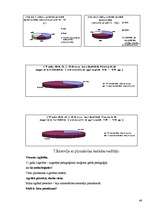 Referāts 'Jauniešu agresija', 46.