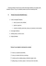 Konspekts 'Pārskats par Mārtiņa Zīverta daiļradi', 2.