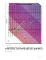 Referāts 'Kursa darbs automobiļu teorijā', 22.