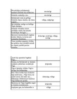 Konspekts 'Tēlu īpašību raksturojums A.Bela romānā "Cilvēki laivās"', 4.