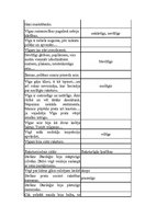 Konspekts 'Tēlu īpašību raksturojums A.Bela romānā "Cilvēki laivās"', 5.