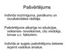 Prezentācija 'Indivīds un organizācija', 15.