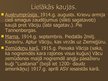 Prezentācija 'Pirmais pasaules karš', 9.