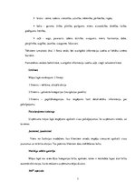 Referāts 'Uzņēmuma SIA "X" e-komercijas stratēģija', 7.