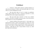 Referāts 'Uzņēmuma SIA "X" e-komercijas stratēģija', 11.