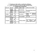 Biznesa plāns 'Biznesa plāns autoservisam', 13.