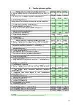 Biznesa plāns 'Biznesa plāns autoservisam', 15.