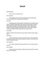 Konspekts 'Pasaules kalni', 1.