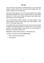 Referāts 'Darba normēšana', 1.