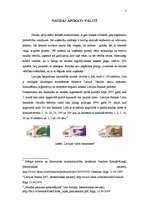 Referāts 'Naudas apskats valstī', 1.