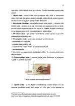 Referāts 'Naudas apskats valstī', 13.