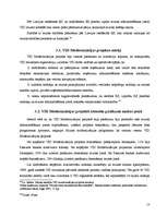 Referāts 'Muitas dienesta attīstība un stratēģiskā vadība', 13.