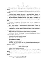 Referāts 'AS "Baltic Trust Bank" gada pārskats par 2004.gadu', 7.