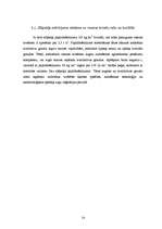 Referāts 'Z/S "Pīlādži" analīze', 14.