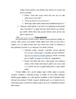 Referāts 'Klasvadības plāns', 6.