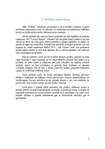 Biznesa plāns 'Biznesa plāns', 7.