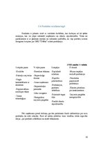 Biznesa plāns 'Biznesa plāns', 10.