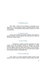 Biznesa plāns 'Biznesa plāns', 11.