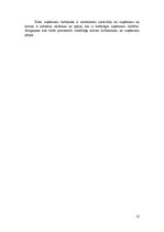 Biznesa plāns 'Biznesa plāns', 15.