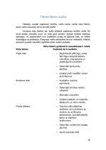 Biznesa plāns 'Biznesa plāns', 16.