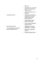 Biznesa plāns 'Biznesa plāns', 17.