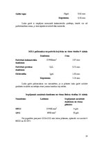 Biznesa plāns 'Biznesa plāns', 19.