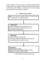 Biznesa plāns 'SIA "Bedstraw" biznesa plāns', 8.