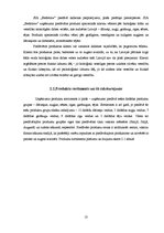 Biznesa plāns 'SIA "Bedstraw" biznesa plāns', 10.