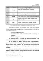 Biznesa plāns 'SIA "Bedstraw" biznesa plāns', 11.