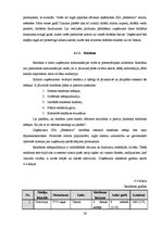 Biznesa plāns 'SIA "Bedstraw" biznesa plāns', 26.