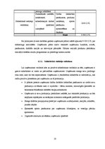 Biznesa plāns 'SIA "Bedstraw" biznesa plāns', 28.