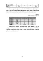 Biznesa plāns 'SIA "Bedstraw" biznesa plāns', 32.